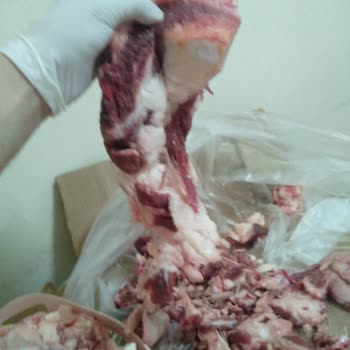 A101'den Aldığımız Kurbanlık İle İlgili Şikayet