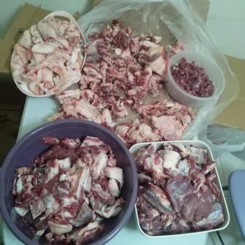 A101'den Aldığımız Kurbanlık İle İlgili Şikayet