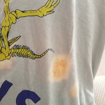 Vanish Kosla Çamaşır Suyu Mu Yoksa Leke Çıkarıcı Mı?