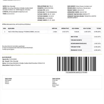 Electrolux Şarjlı Dikey Süpürge