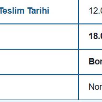Borusan Lojistik Ürünümü Teslim Etmedi