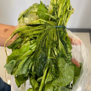 Migros'un Bozuk Ve Çürümüş Sebze Göndermesi