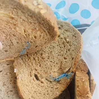 No:03 Fırından Yeni No 03 Emek