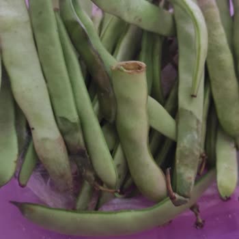 Migros İade Edilmeyen Ürün Bedeli