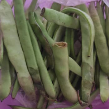 Migros İade Edilmeyen Ürün Bedeli