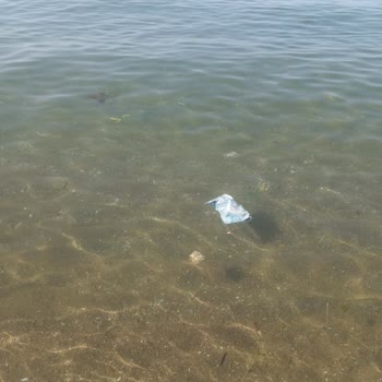 Karacabey Belediyesi Deniz Temizliği Konusunda Sorunlar