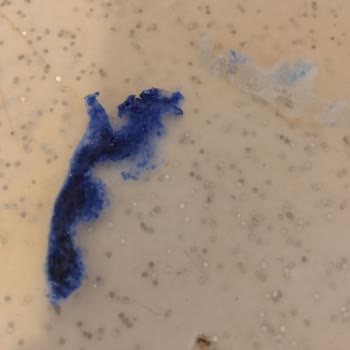 Finish Bulaşık Tableti Çözünmüyor