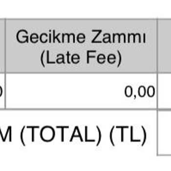 E-Devlet (Turkiye.gov.tr) IMEI Ödemesi Yapıldı E Devlette Gözükmüyor!