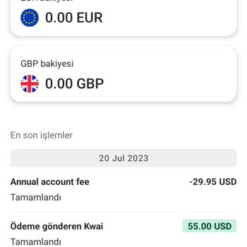 Payoneer Yıllık Ücreti Kesintisi