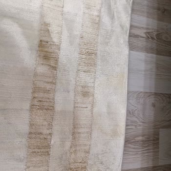 Ceypak Halı Yıkama (Antalya) Talihsizlik