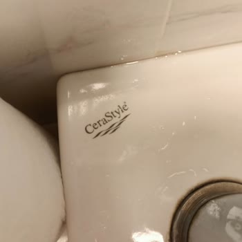 CeraStyle Çözüm Bulamıyorum 😢