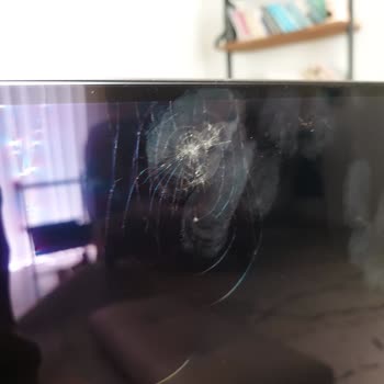 LG Oled Evo TV Onarım Sorunu