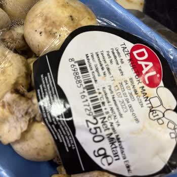 Getir Bizi Acil E Götürme