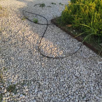 İzmit Belediyesi Park Bakımı Ve Temizliği