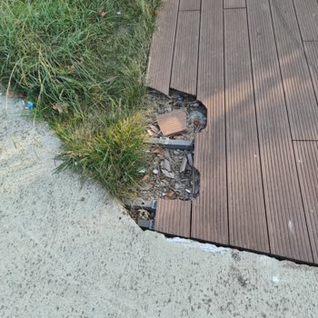 İzmit Belediyesi Park Bakımı Ve Temizliği