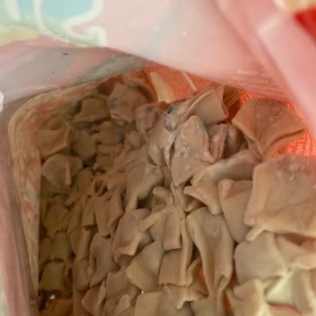 Superfresh Küflü Mantı Sorunu