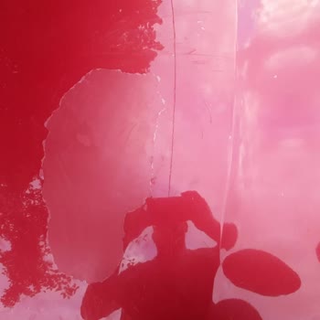 Citroen C4 Vernik Atması