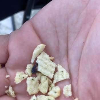 Lays Cipsten Fare Dışkısı Çıktı