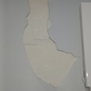 DASK (Doğal Afet Sigortaları Kurumu) Bir Açıklama Bekliyorum Lütfen...