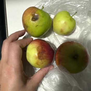 Onur Market Trendyol Üzerinden Yapılan Sebze Meyve Alışverişinde Yaşanan Sorunlar