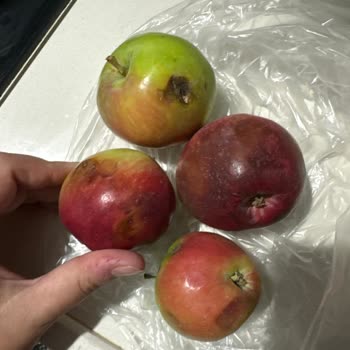 Onur Market Trendyol Üzerinden Yapılan Sebze Meyve Alışverişinde Yaşanan Sorunlar