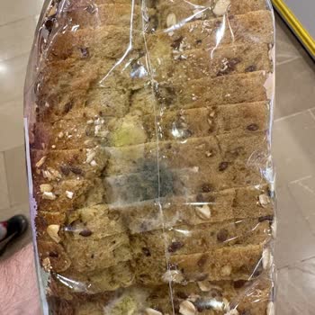 İstanbul Halk Ekmek Küflü İstanbul Halk Ekmeği