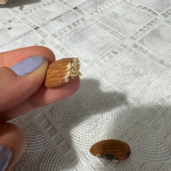 File Market Paketin İçerisinde Bozuk Ürün