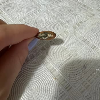 File Market Paketin İçerisinde Bozuk Ürün