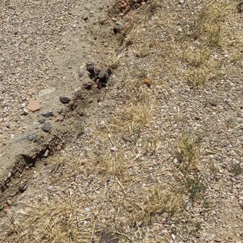 Beypazarı Belediyesi Yapılmayan Bozuk Rampa Yol