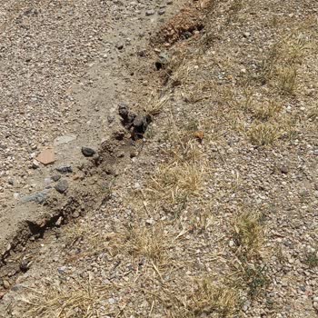 Beypazarı Belediyesi Yapılmayan Bozuk Rampa Yol