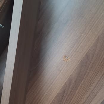 Enza Home Satış Sonrası Verilemeyen Hizmet