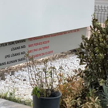 Shell Meydankavağı Ysz Akaryakıt İstasyonu