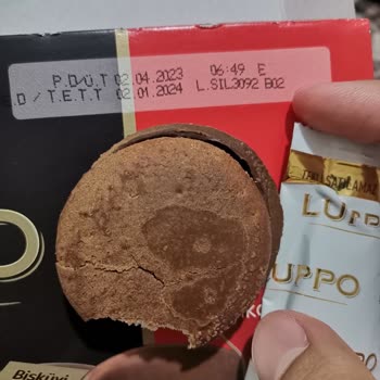 Bozuk Luppo Sandviç Kek