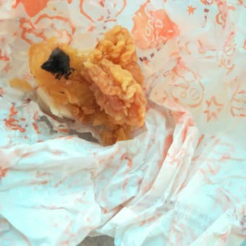 Popeyes İçinden Sinek Ölüsü Çıktı