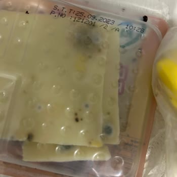 Electrolux LNT7ME46X2 Buzdolabı Sorunları