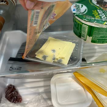 Electrolux LNT7ME46X2 Buzdolabı Sorunları