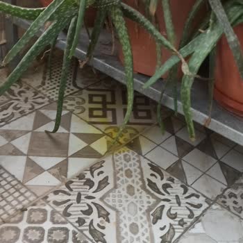 Detan Böcek İlacı Lekesi