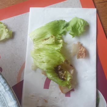 Tavuk Dünyası'nın Çürümüş Yeşillikleri