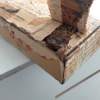 Sürat Kargo İadesi Yapılmayan Kargo