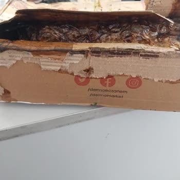 Sürat Kargo İadesi Yapılmayan Kargo