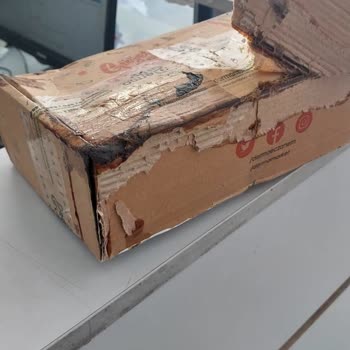 Sürat Kargo İadesi Yapılmayan Kargo