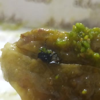 Akdo Pastaneleri Hijyen Kuralına Dikkat