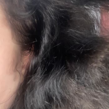 Palette 4.60 Altın Kahve Boyası Simsiyah Oldu