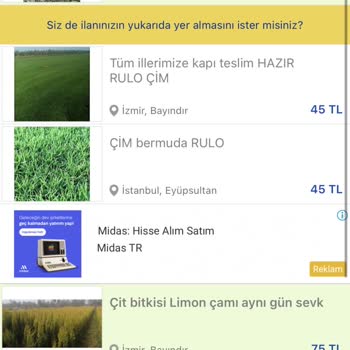 Gold Botanik ve Hazır Çim Evergreen Life Tarım Ormancılık Hayvancılık İnşaat Ve İthalat