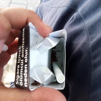 Philip Morris Tütünler Dökülüyor İçinden Yanmayan Dallar Çıkıyor