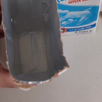 Pınar Süt Tad Bozukluğu Ve Dibe Çökme Sorunu.