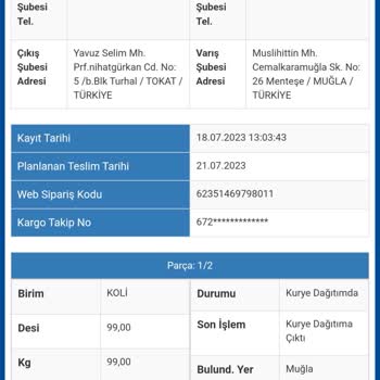 Sürat Kargo Kargo Dağıtım Problemi