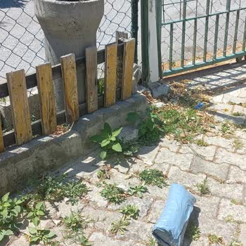 MNG Kargo Kargo Çalışanlarının Tutumu