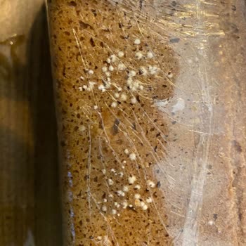 Elif Yöresel Ürünler Küflenmiş Ekmeklerin Geri İstenmesi