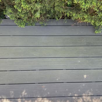 Projerd Tarafıma Dönüş Yapılmıyor